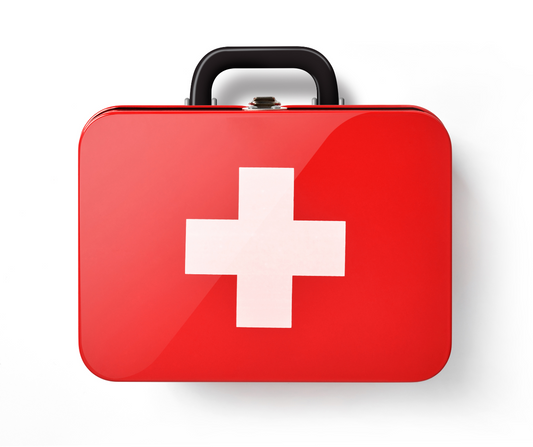 Kit de survie pour parents débordés, pendant la grève illimitée!