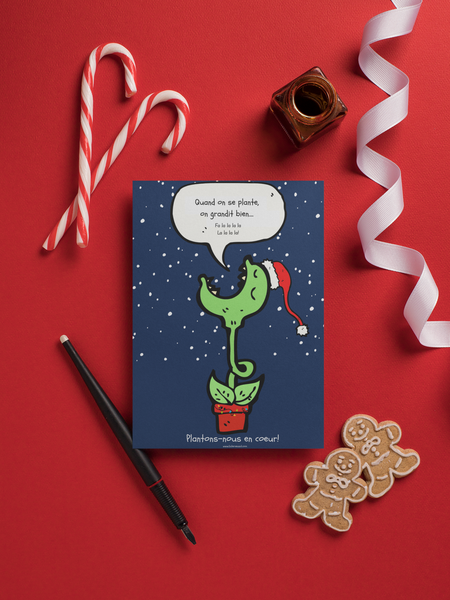 La plante carnivore de Noël!